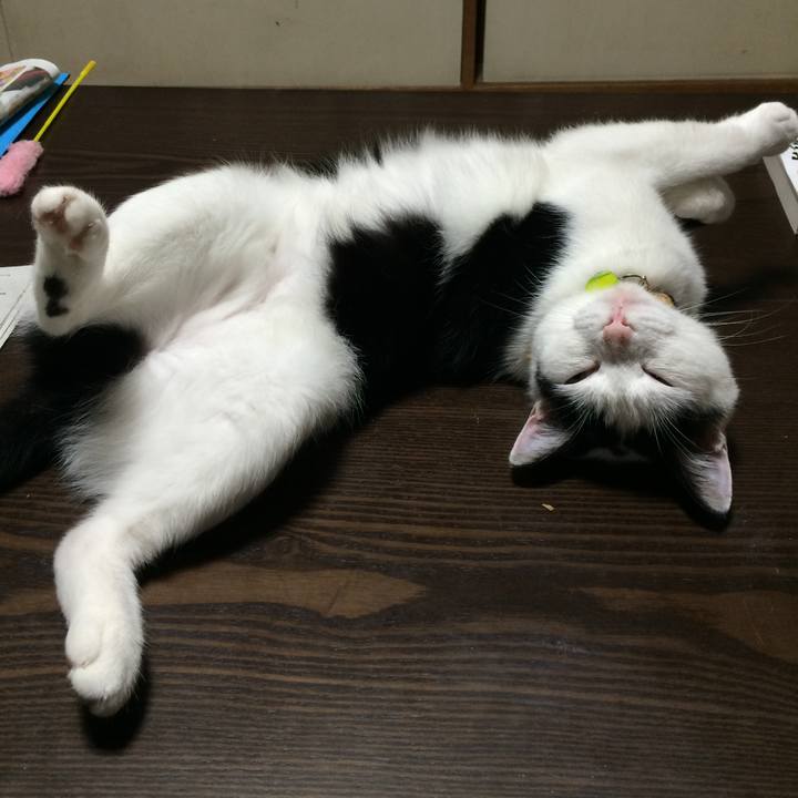 616378ad 778a 4838 8fda 8078287d1d75