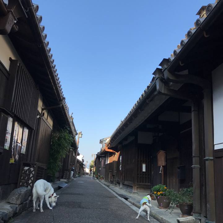 6163935e 3f60 4359 a92a 50221b067e1c