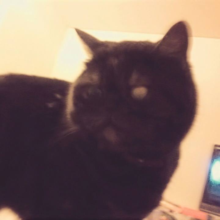 616439ae c11a 4969 985a b329a911df64