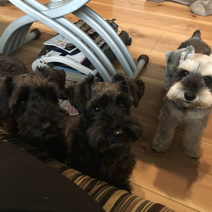 6164a396 f2a6 4383 9600 0e5c709950a0