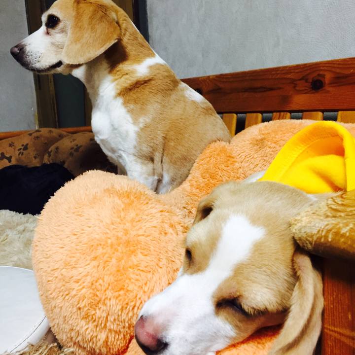 61655169 751c 4ebc a339 f83893d8a34d