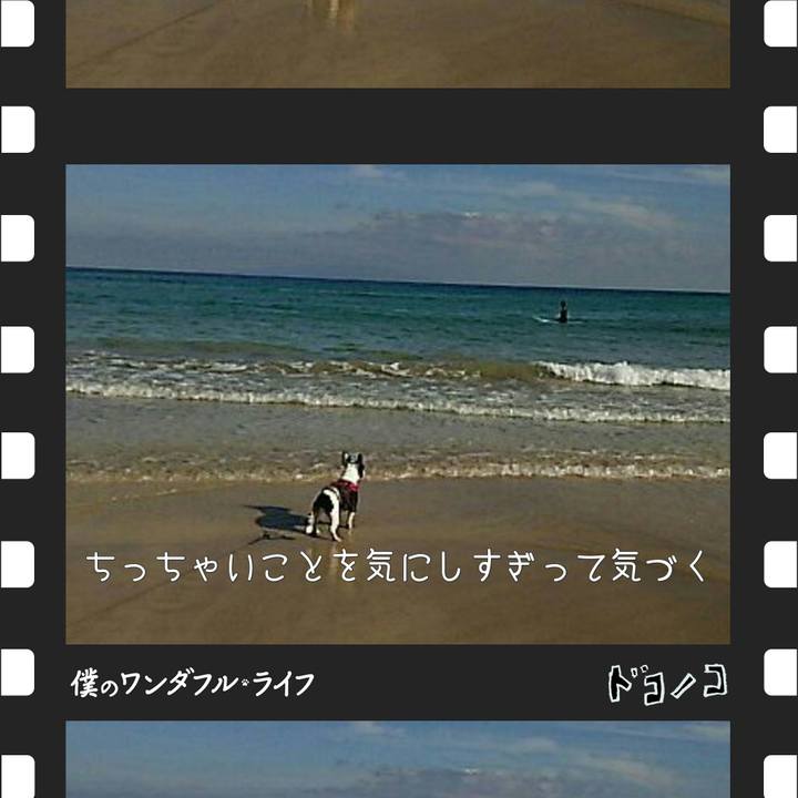 61667c1d 4531 4a40 a513 71a7d9da8755