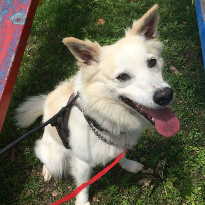 6166ab76 02d6 4c0e 9af9 a5693a93ef39