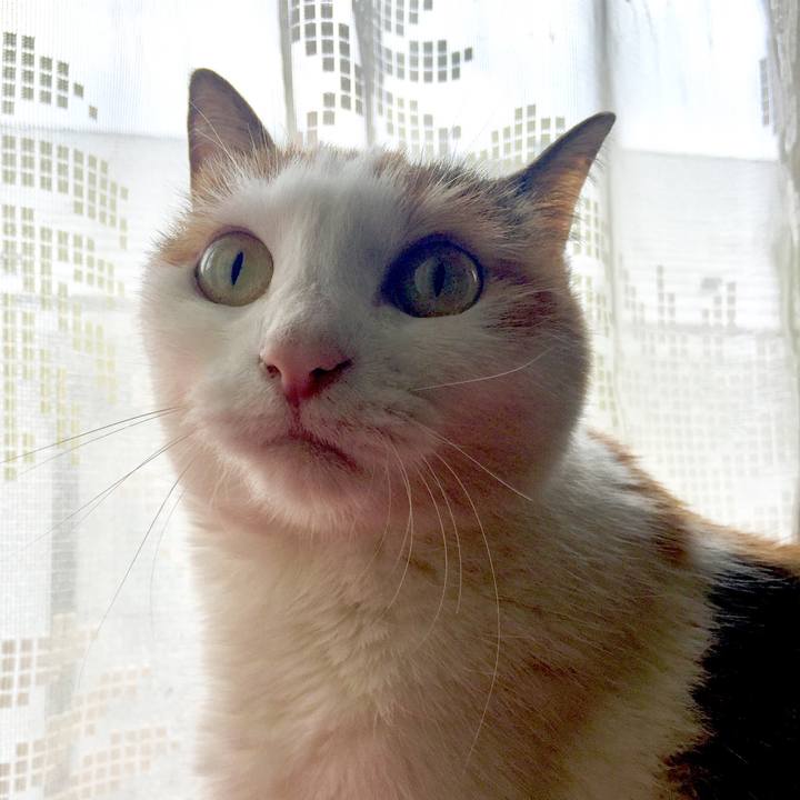 61670f44 9804 441f 8cfb 079357034b91