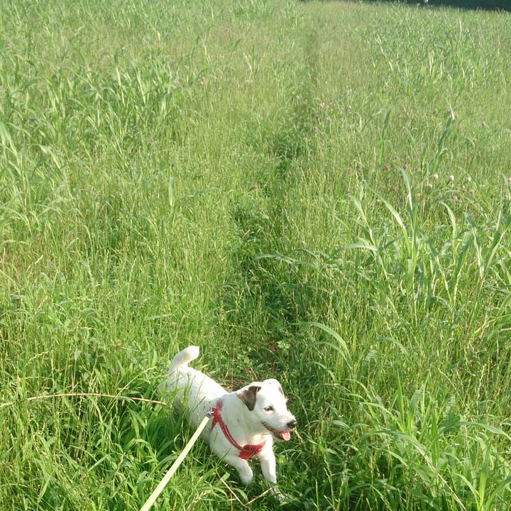 6167599f b80e 4b62 960d f4bbbfdc433b