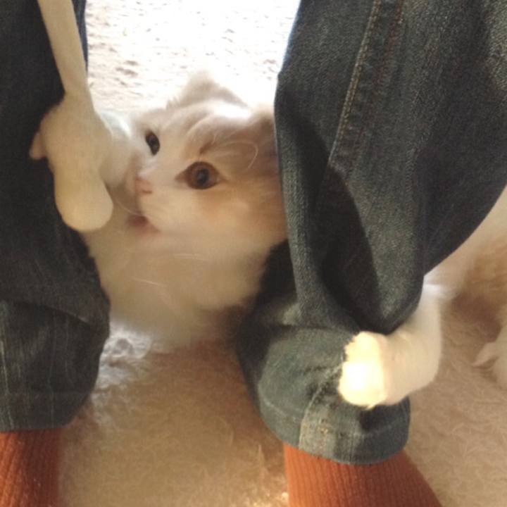 616788dd 9a22 4edd bd80 a16d87a2066e