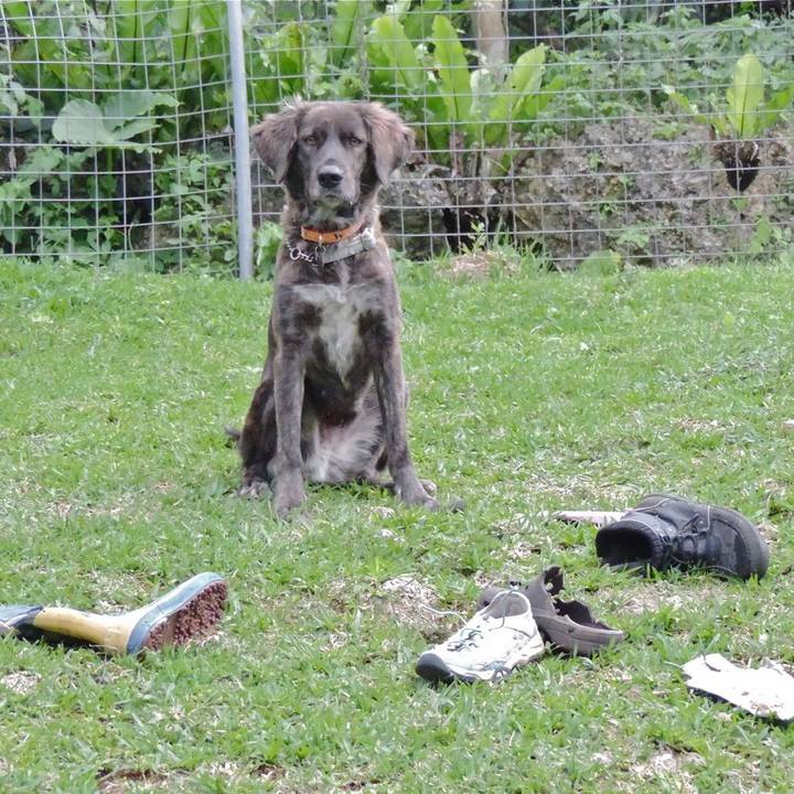 61685084 7b46 4a2b b7e1 ad2250744fdd