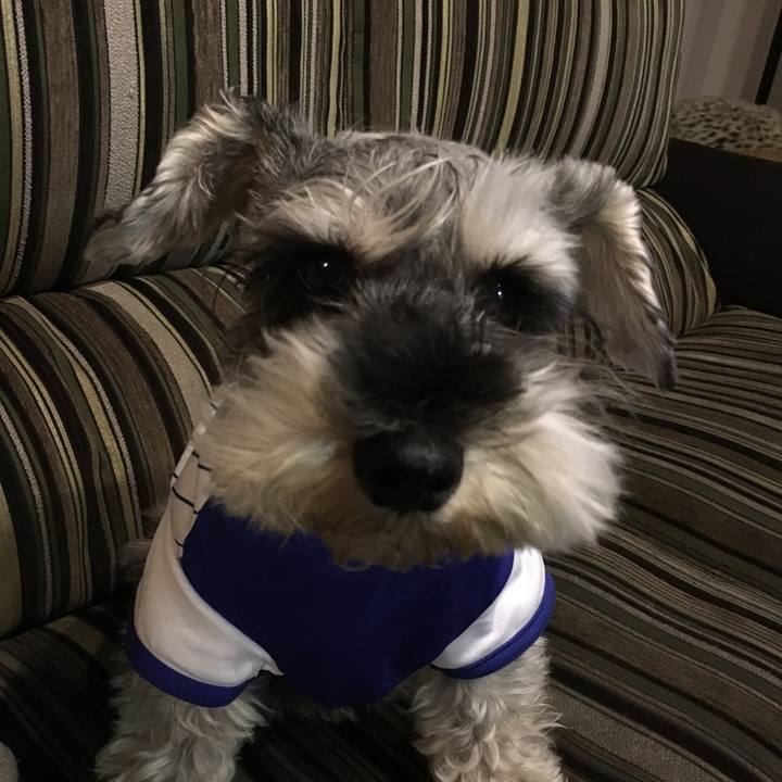 61699783 d231 44fc 8f00 63139d207bf9