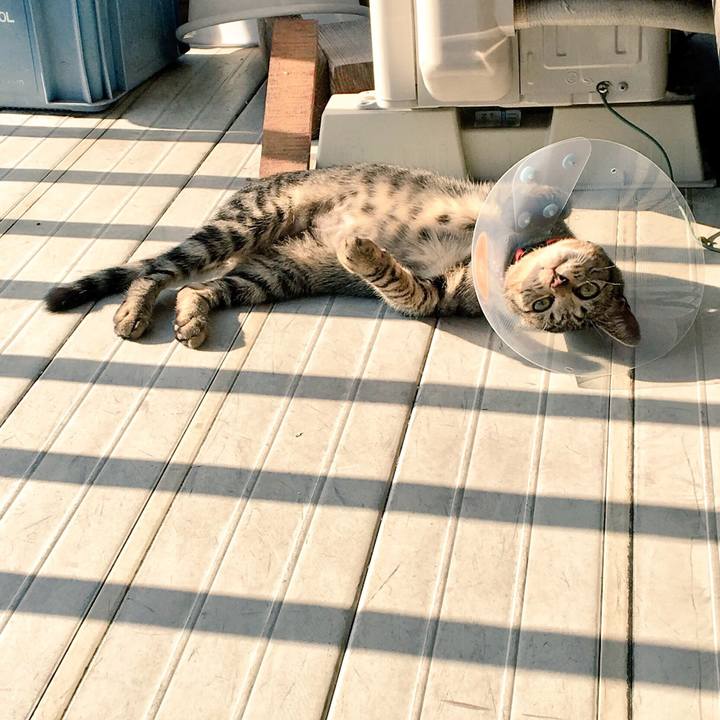 6169d6dd 1c6f 489b 895c 024f01acd0d7