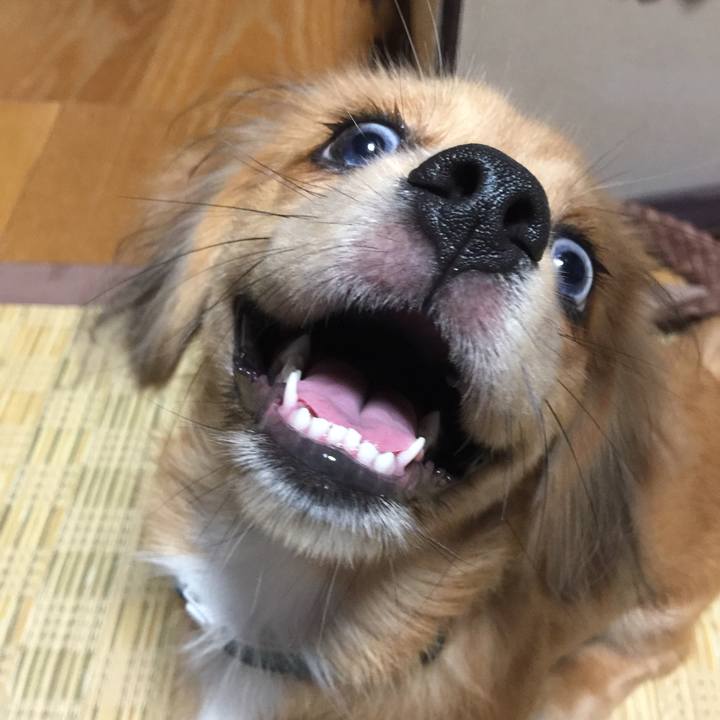 6169ef49 bc52 444e a632 98379f401994