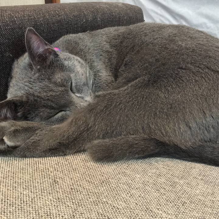 616a24b5 122c 485e 8e4f 35819b7129ec