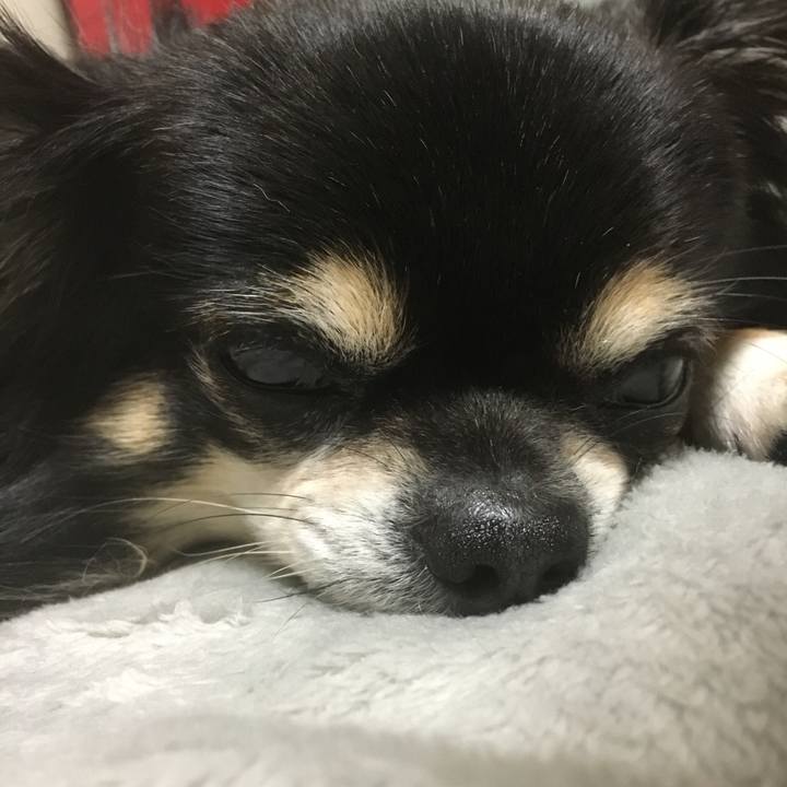 616a8960 4fb7 4556 bac1 d074e1db1613