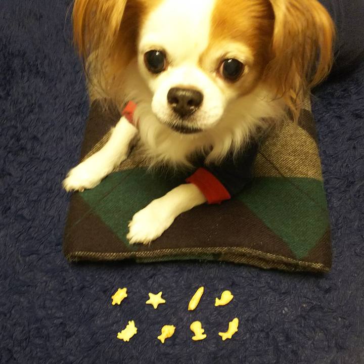 616b11fa 0ad7 4300 bcc6 8ace3b9fdd07