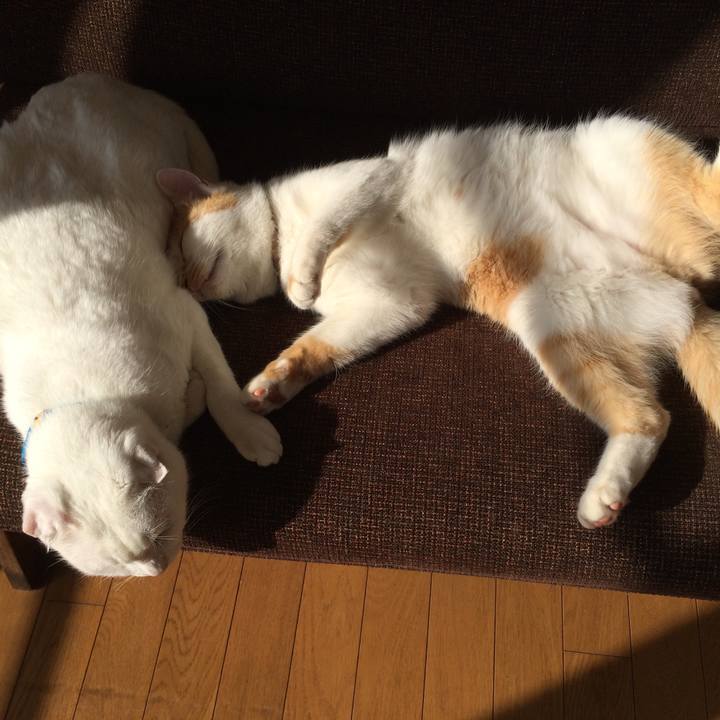 616c05b7 6cb8 4a92 91e2 bdb20d154c2c