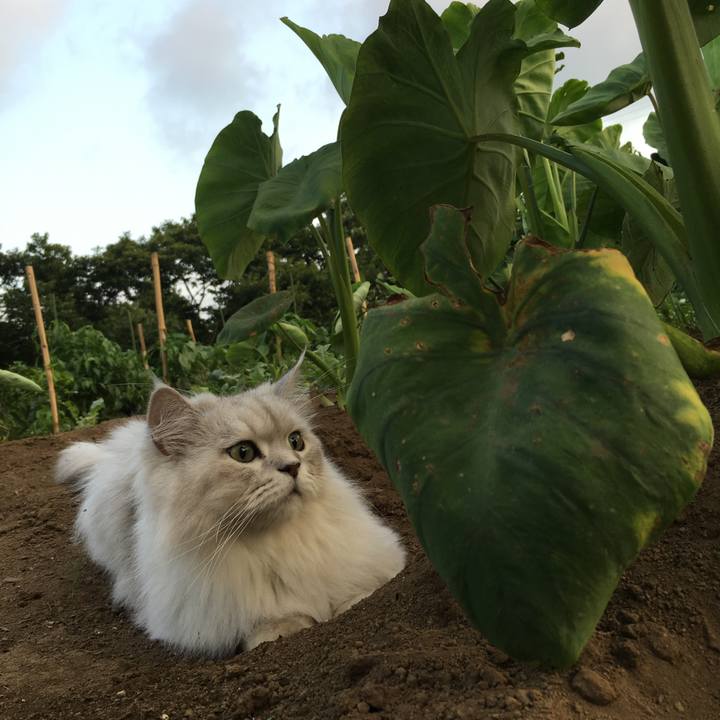 616c2b47 b197 40b5 9a2d 2bee93b8031b