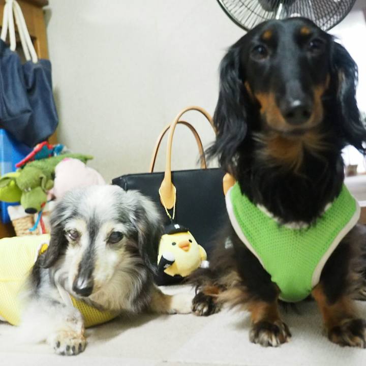 616d2d78 ad3e 40a9 910a 926866dae25d