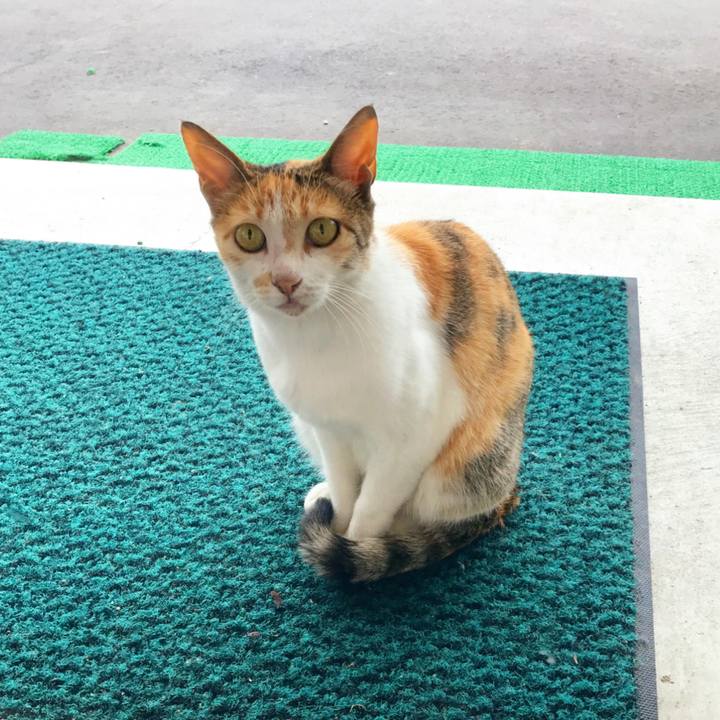 616e119b 7e57 434d a545 08cfca5b832c