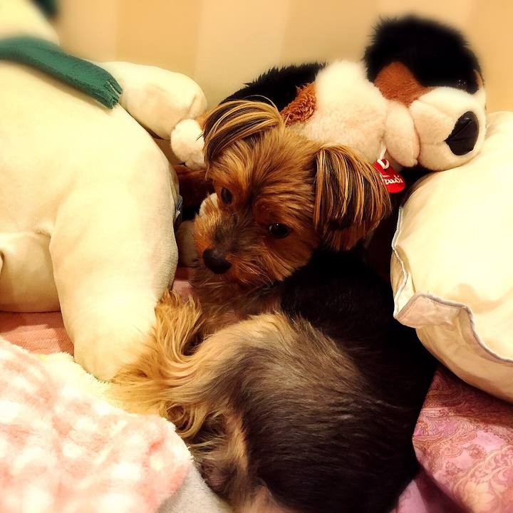 616e8dba 2e24 42a5 b70c 3c4a1065538a