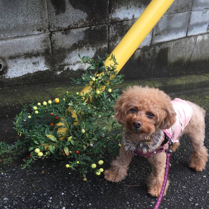 616ec705 9f61 4361 b3ed 080cb9677288