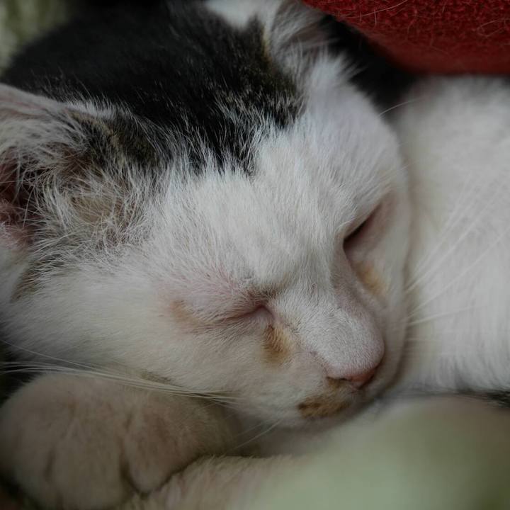 616f2e12 1540 471d aec8 017ac9b6be00