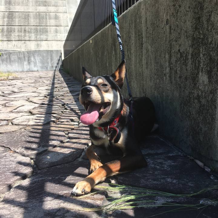 616f7556 5019 4e0b 9f3c 8cb820da9b6e