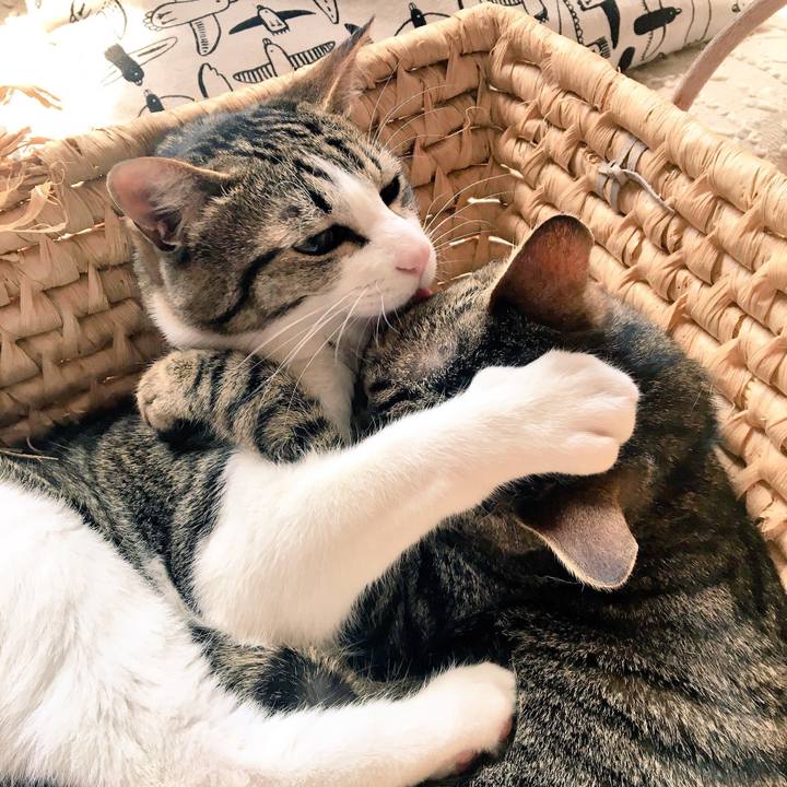 61705a09 6c7d 41b4 b398 3138879c9219