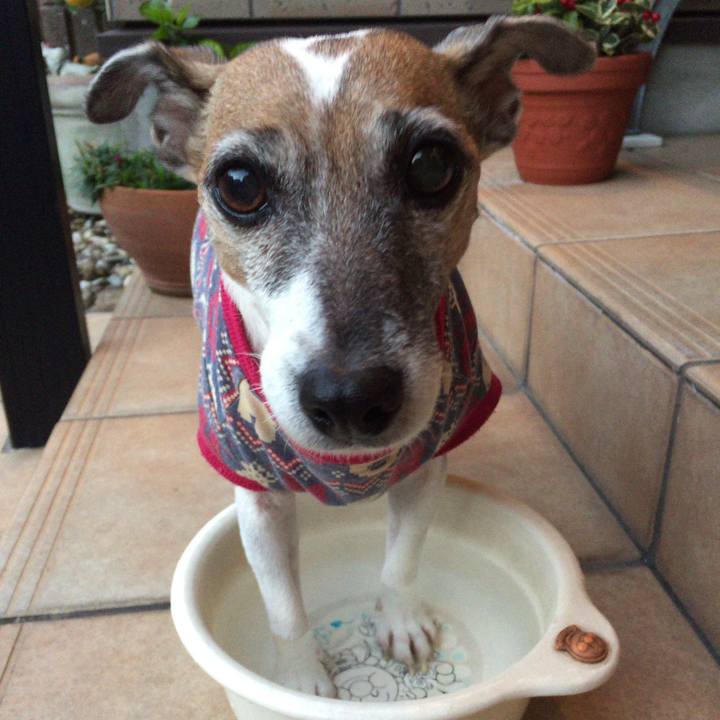 61707eaa f8f3 405b 9401 422681cdcf07