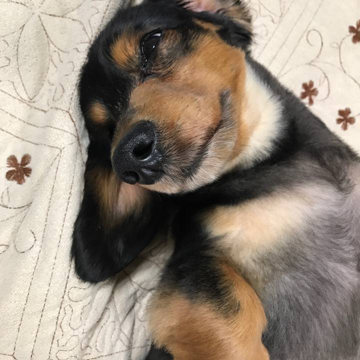 61709832 3057 4bf7 9bae 4d2420eeb32d