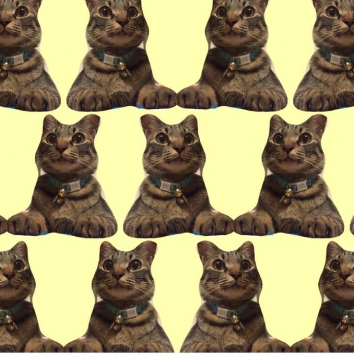 6170e3e4 d2e9 433e 8b84 4837edd7a994