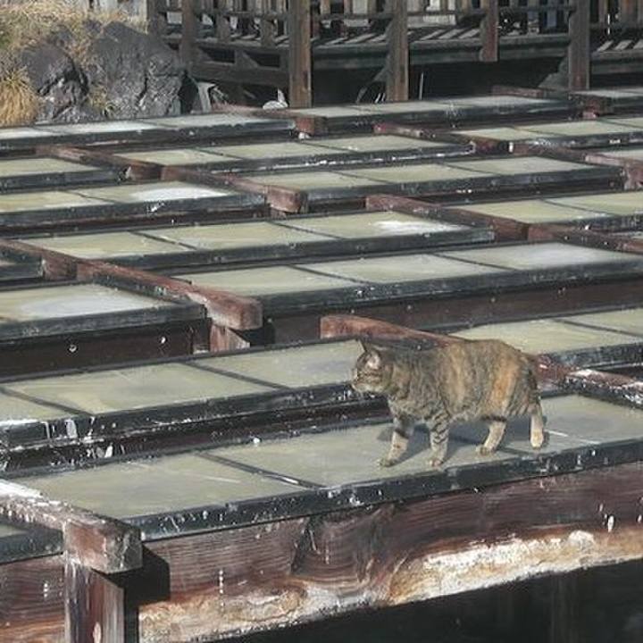 6170ebb8 ecc8 4e87 acd4 868a68152a20