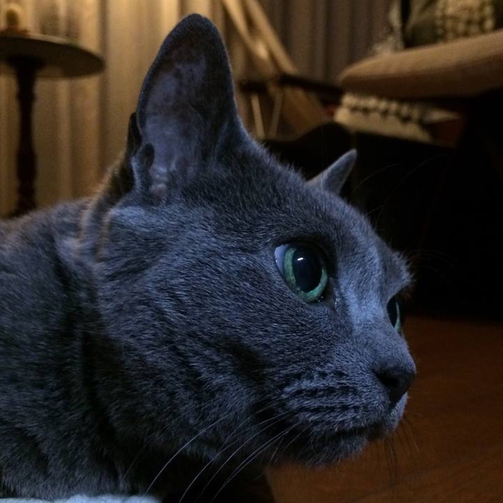 61721ee8 718b 4337 95dd 062599e1fbcd