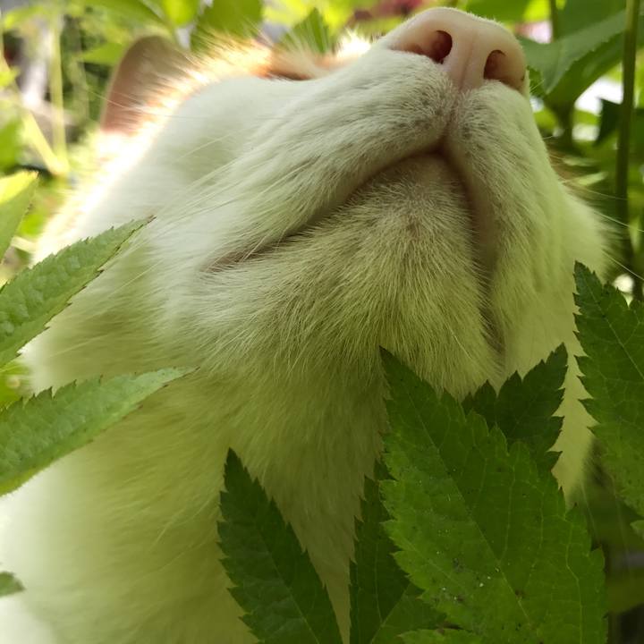 61723857 9b2a 4506 a478 74e32f71b164