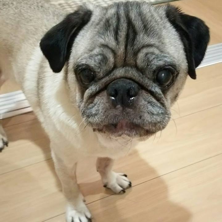 6172619f 9d93 432f ab59 a36cacc25789