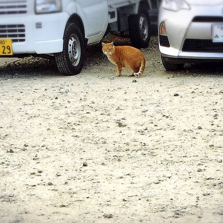 61728b9b 4792 44a3 b0dd dda99a56809c