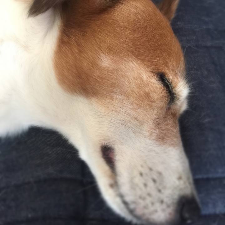 6172cb45 30c6 4182 89e7 d86c4ec1825f