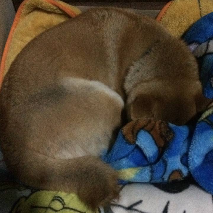 6174c749 ade9 4289 9c85 597a768bcd37