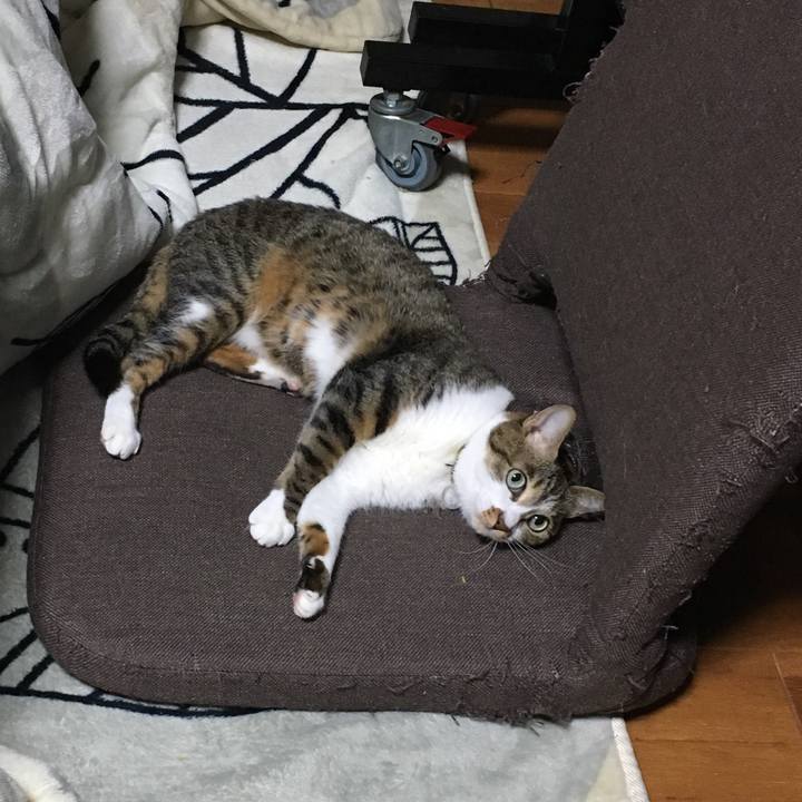 6174cd54 9548 4b59 b3aa 39561751d0ae