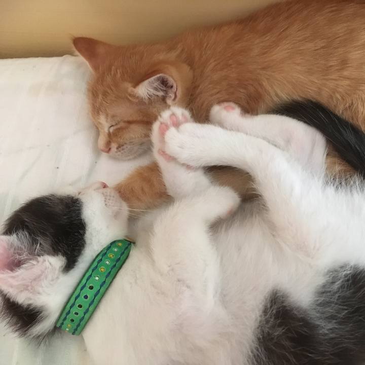 6174d9aa 92de 4f83 ae7e 59ad86cc0527