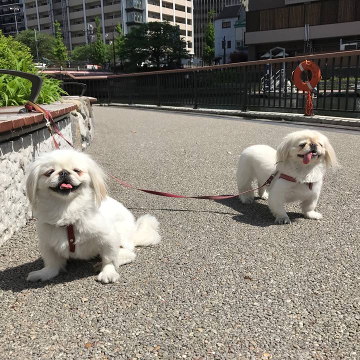 6174e325 7a9a 4216 bce1 4d00be060dd9