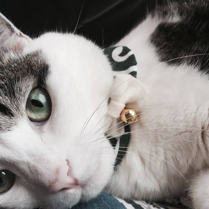 6174f206 5336 484f 8a53 bc2cd729a344