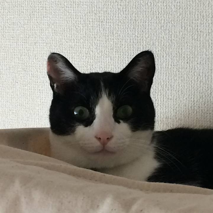 61750021 dd57 4873 bb99 3f62a1e057c3