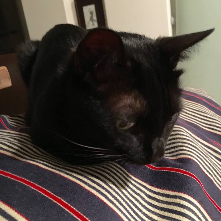 6175b488 48ba 4eac bed2 b402d32ded01