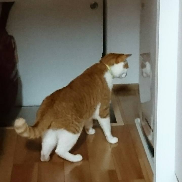 6175f753 e5a0 48df 9031 13bd0859cc75