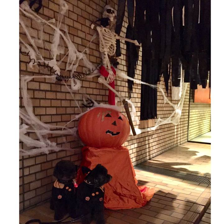 617609b5 f65f 4f67 a80b c560a98aa8b4