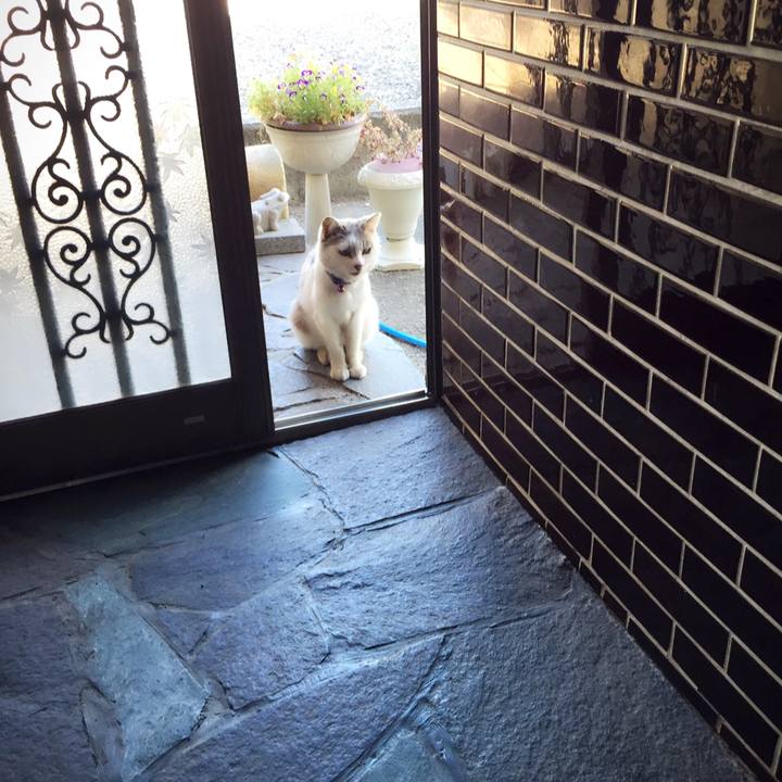 61761da7 e31c 425f be1d ee3e16923f6b