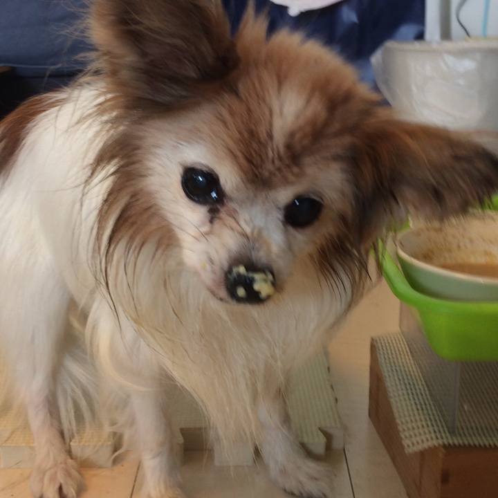 6176abd6 02a0 4819 a313 2129444047f0