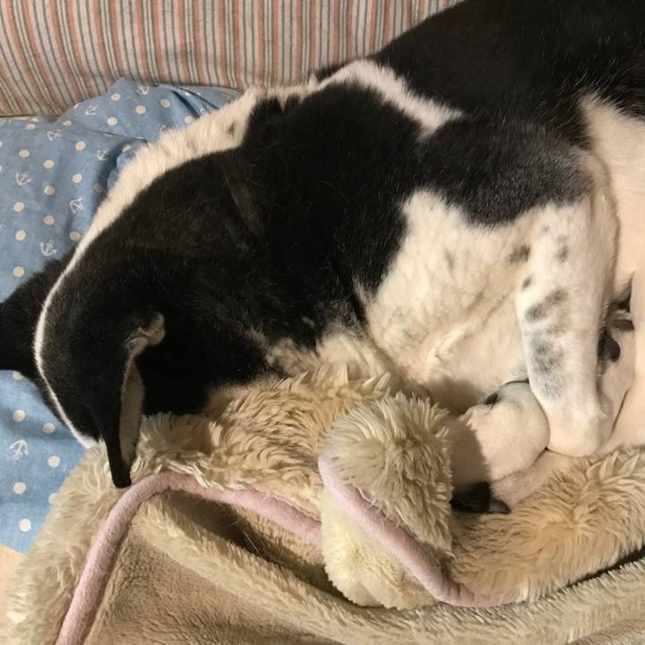 61777435 b62c 455a 979b 660692c36e07