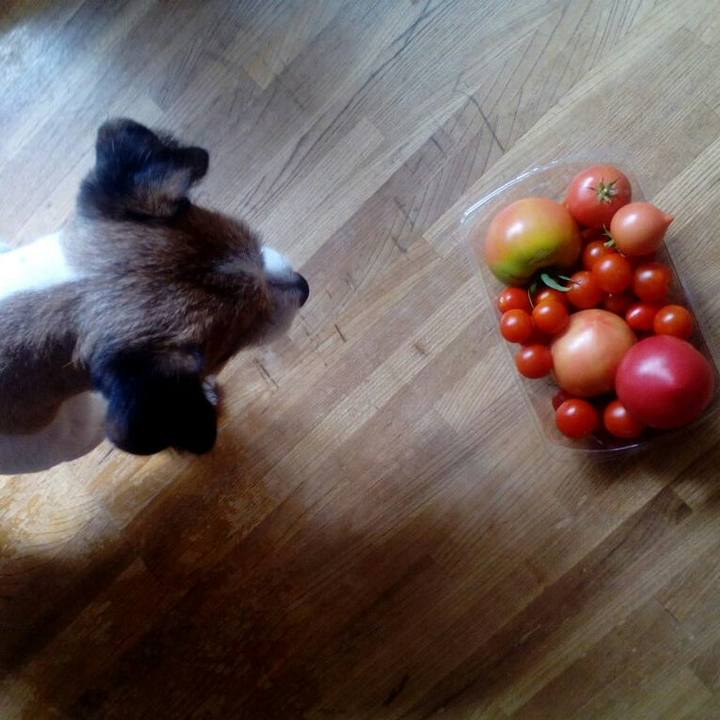 6177b7e9 a26c 49da a518 815daab93bfc