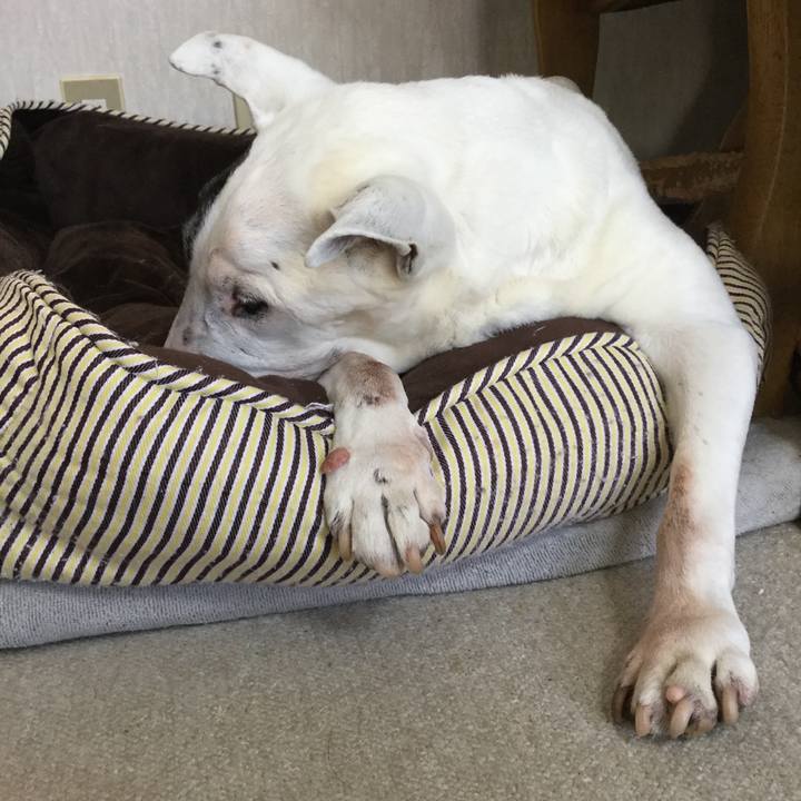 6177c2cc f028 4d2e b2c7 9f9ca1e17b15