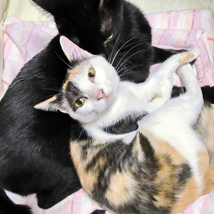 6177db64 8616 4420 a410 736c1754a166